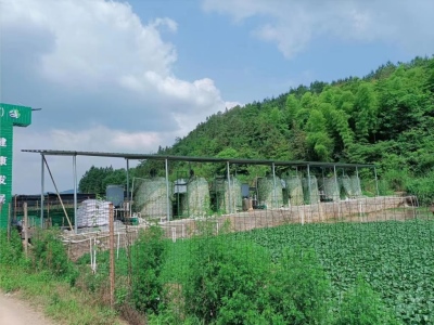 全自動加藥裝置